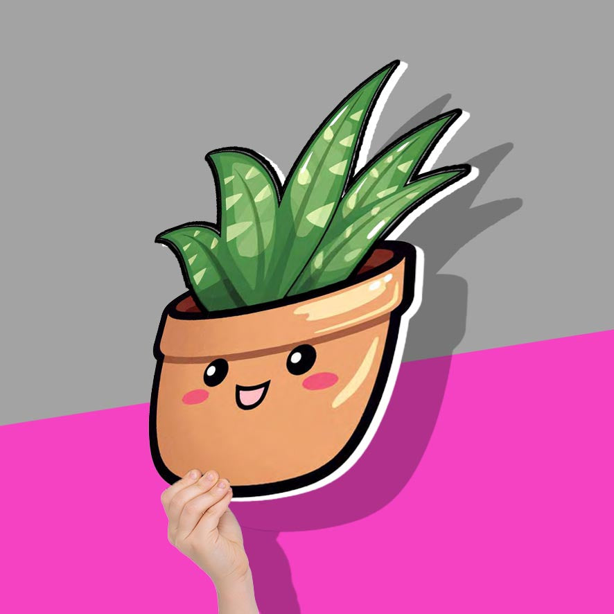 Green Aloe vera plant with brown pot
