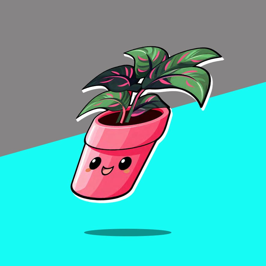 Pink and green leaf plant with red pot