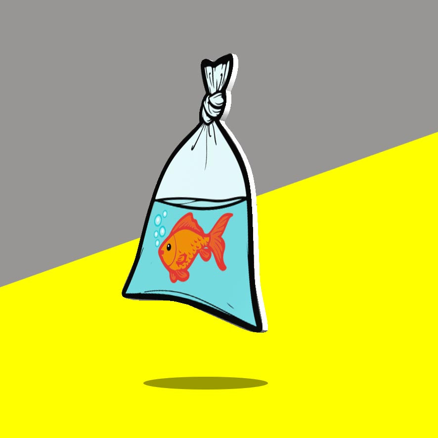 Fish in a Bag