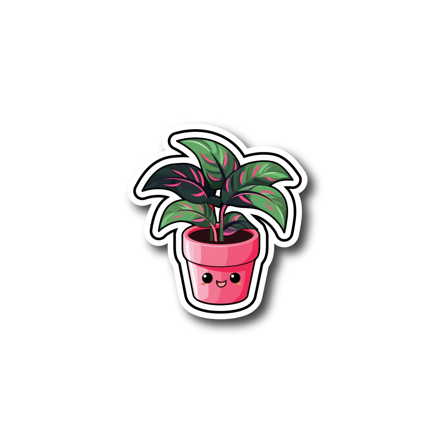 Pink and green leaf plant with red pot