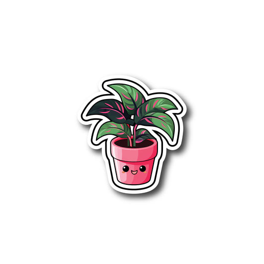 Pink and green leaf plant with red pot