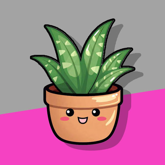 Green Aloe vera plant with brown pot