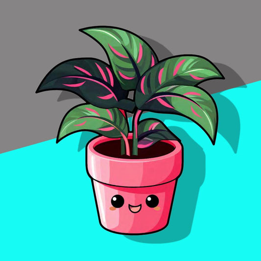 Pink and green leaf plant with red pot